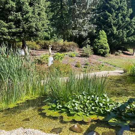 Apartmán RUPE Jáchymov Exteriér fotografie