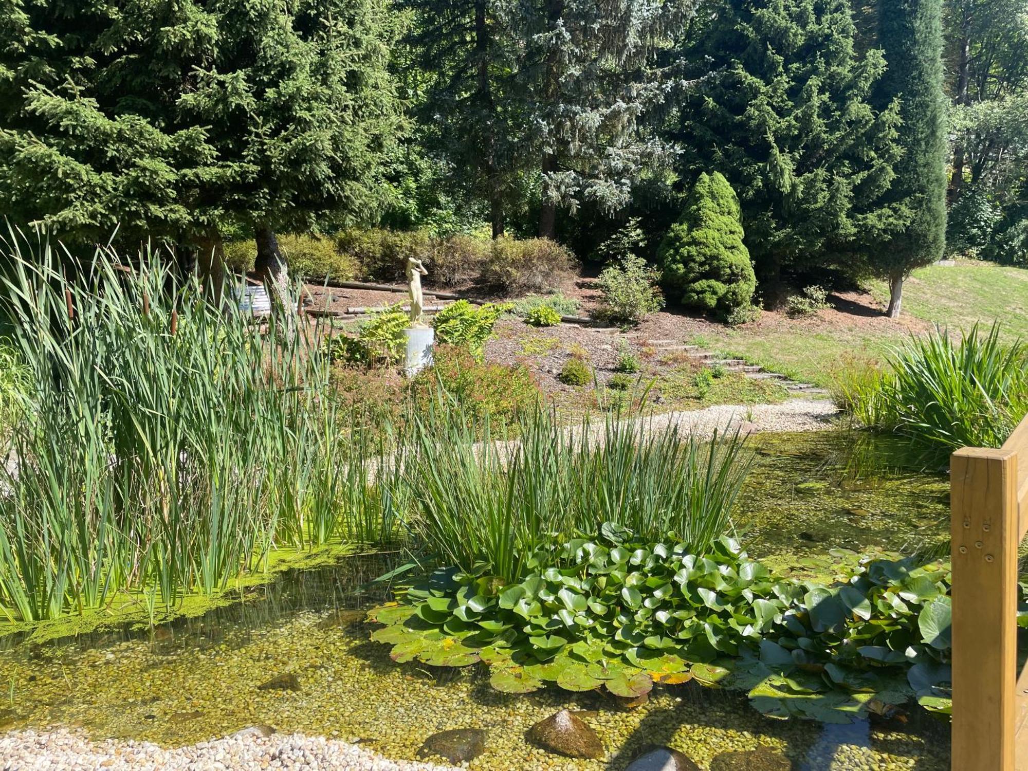 Apartmán RUPE Jáchymov Exteriér fotografie